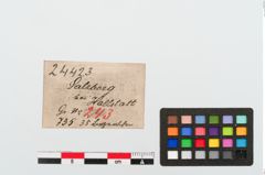 Etiketten zu Perlenkette (NHMW-PRAE-024423)